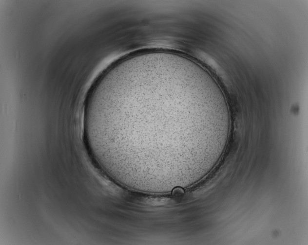 X0000100981323200807151406