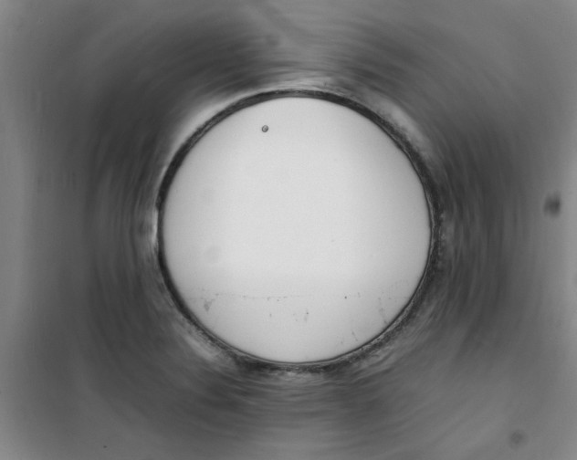 X0000100981324200807151406