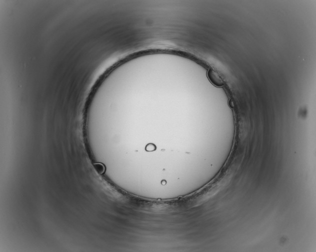 X0000100981326200807151406