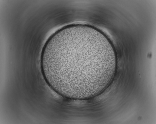 X0000100981327200807151406