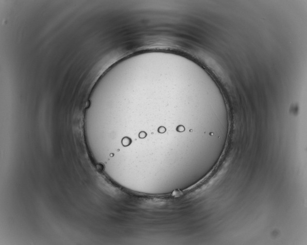 X0000100981329200807151406