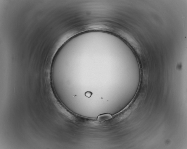 X0000100981330200807151406