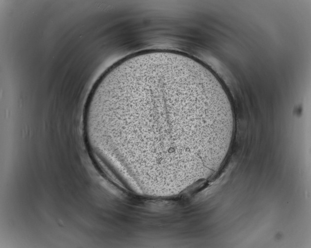 X0000100981331200807151406