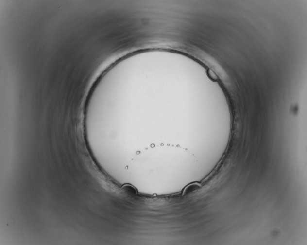 X0000100981332200807151406