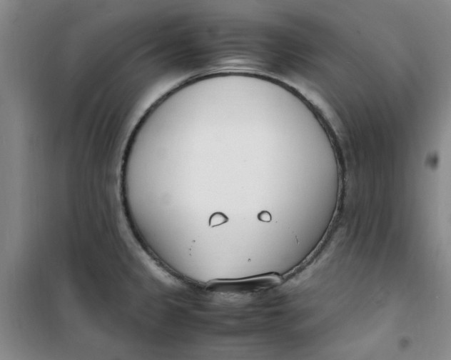 X0000100981333200807151406