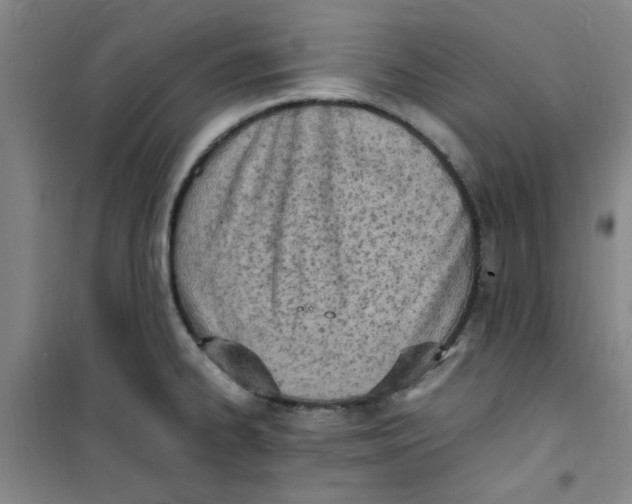 X0000100981334200807151406