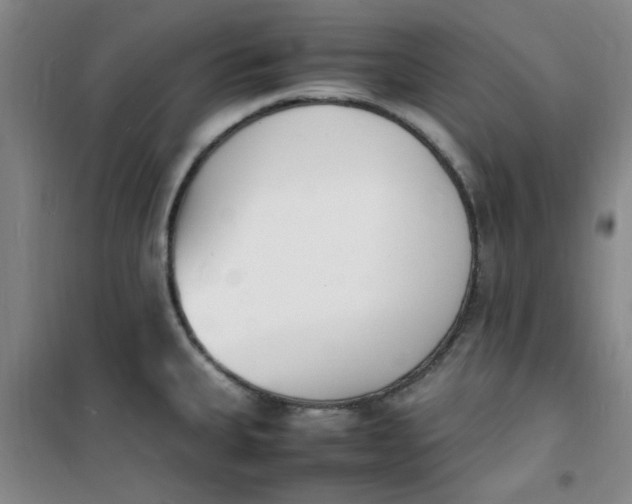 X0000100981335200807151406