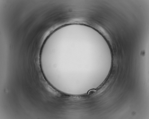 X0000100981336200807151406