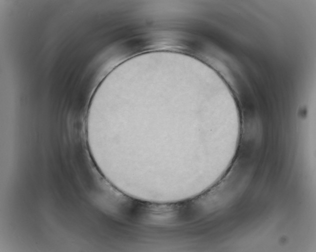 X0000100981338200807151406