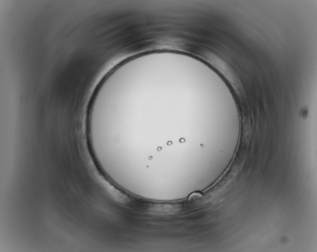 X0000100981339200807151406