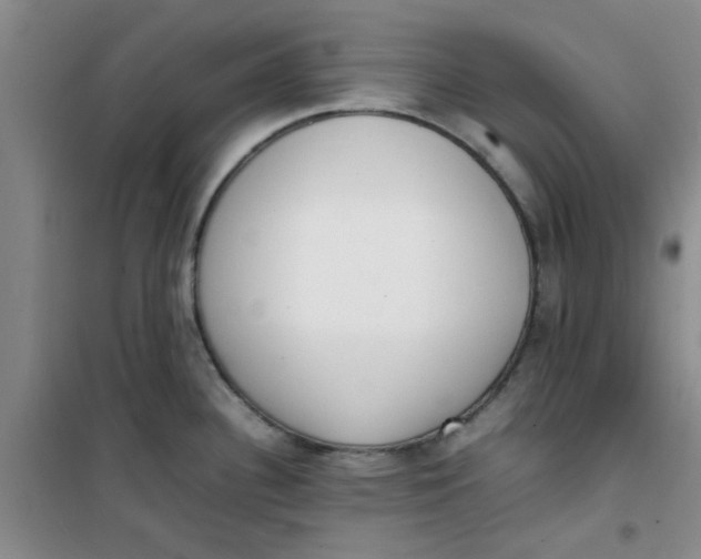 X0000100981340200807151406