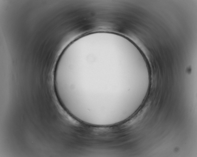 X0000100981341200807151406