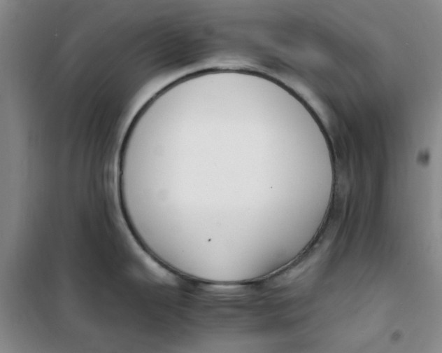 X0000100981343200807151406