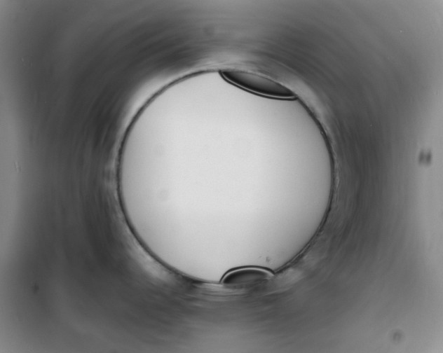 X0000100981344200807151406