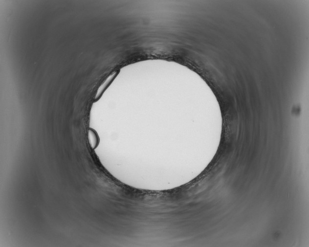 X0000100981345200807151406