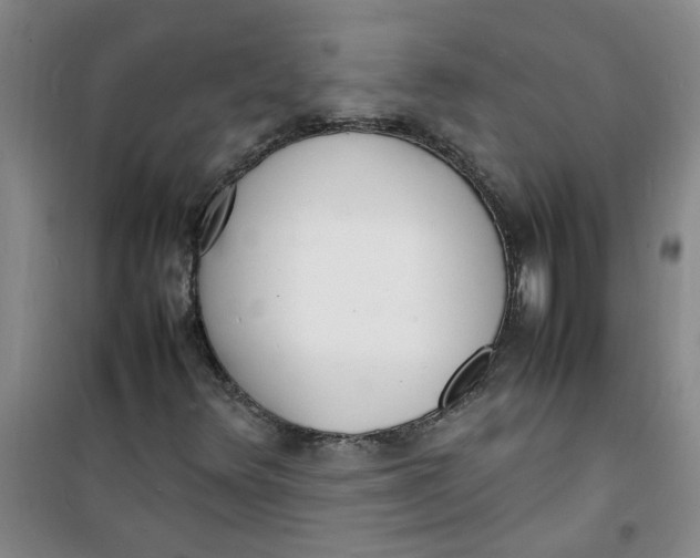 X0000100981348200807151406