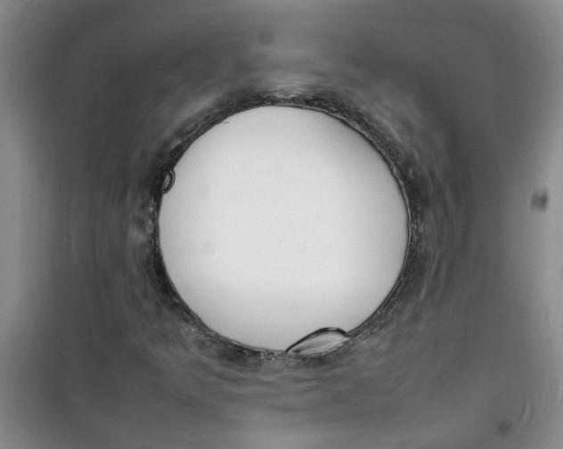 X0000100981349200807151406