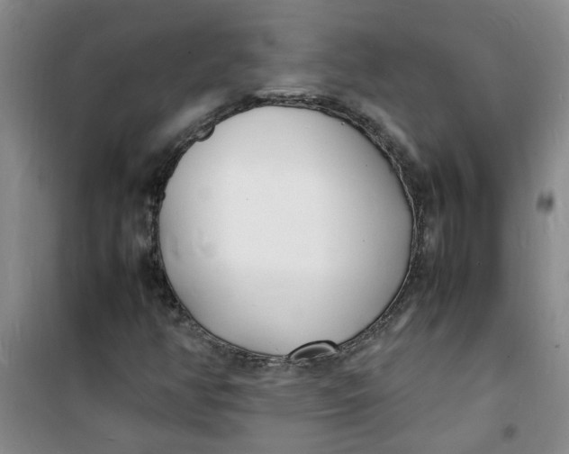 X0000100981350200807151405