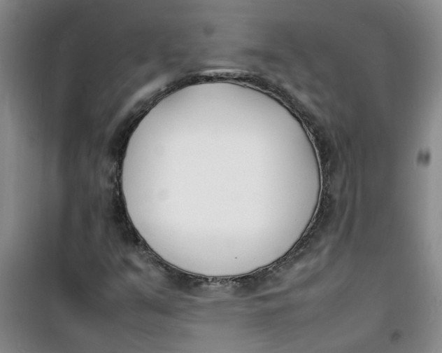 X0000100981351200807151405