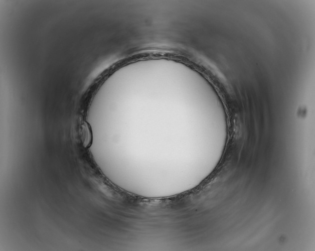 X0000100981352200807151405