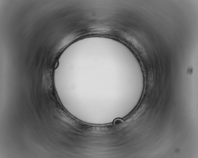 X0000100981354200807151405