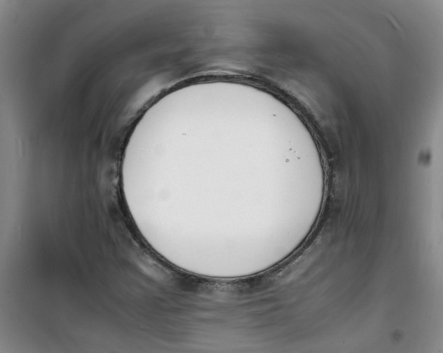 X0000100981355200807151405