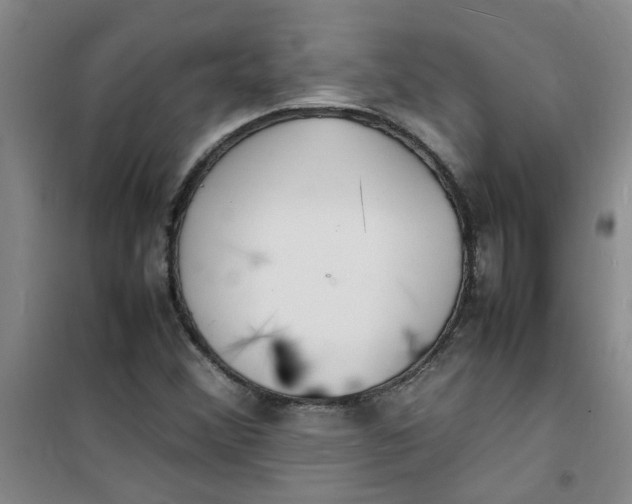 X0000100981356200807151405