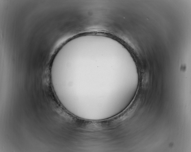 X0000100981358200807151405