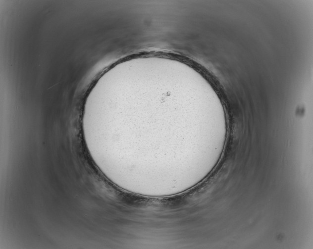 X0000100981359200807151405