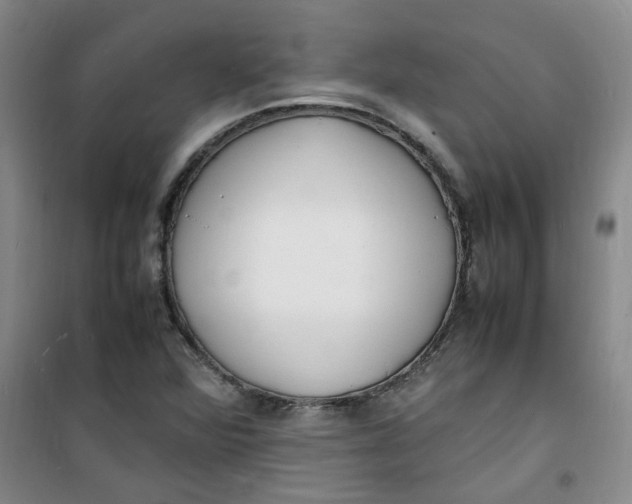 X0000100981360200807151405