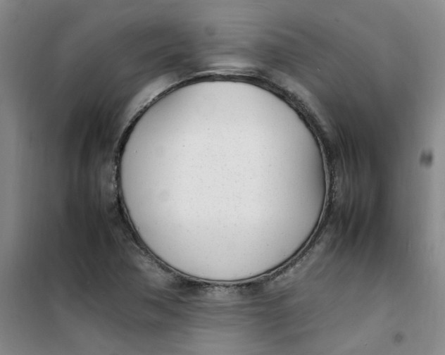 X0000100981362200807151405