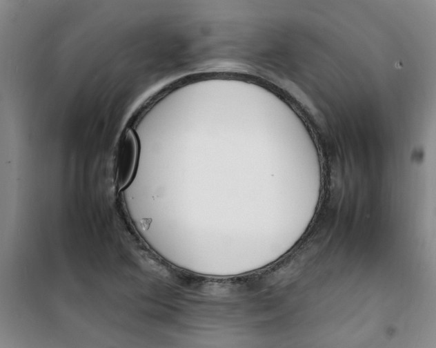 X0000100981364200807151405