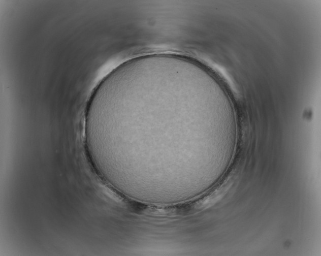 X0000100981365200807151405