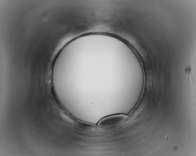 X0000100981366200807151405