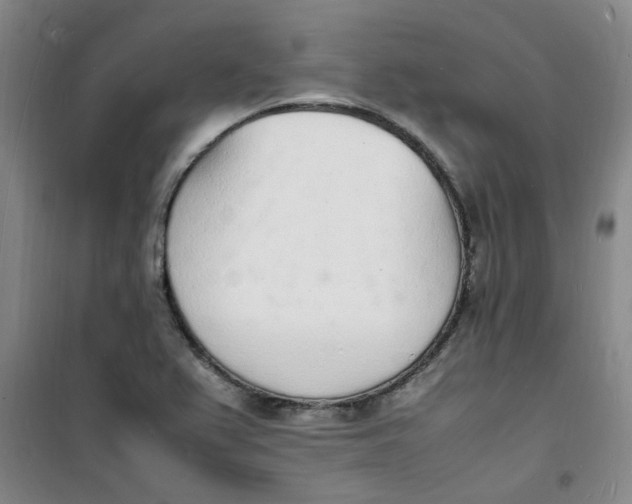 X0000100981367200807151405