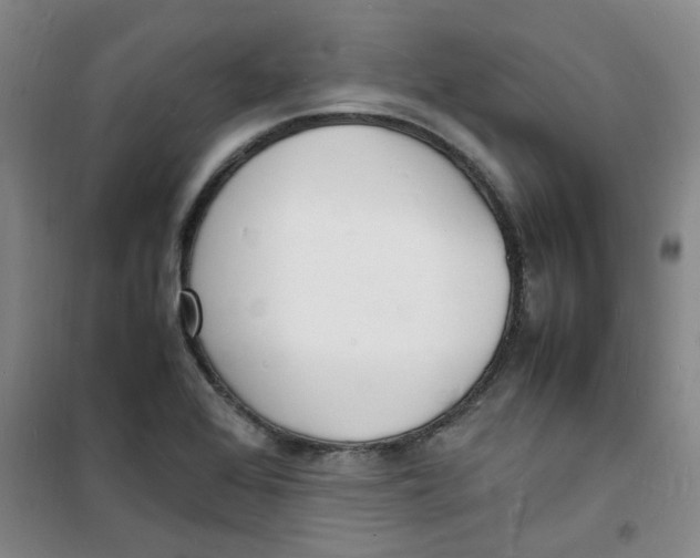 X0000100981368200807151405