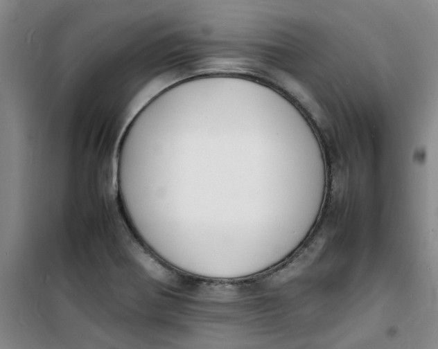 X0000100981370200807151405