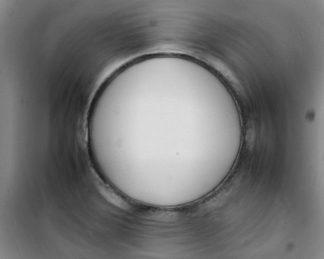 X0000100981372200807151405