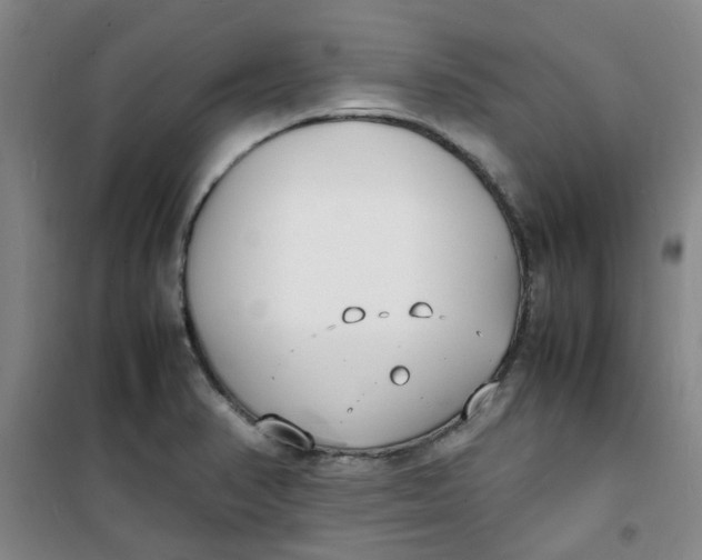 X0000100981374200807151405