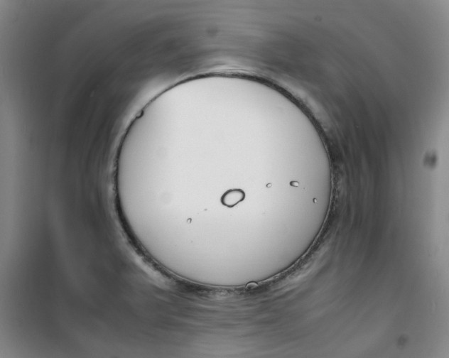 X0000100981375200807151405