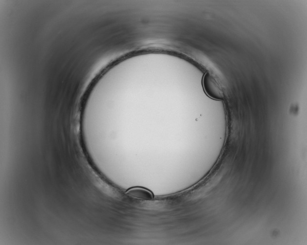 X0000100981376200807151405