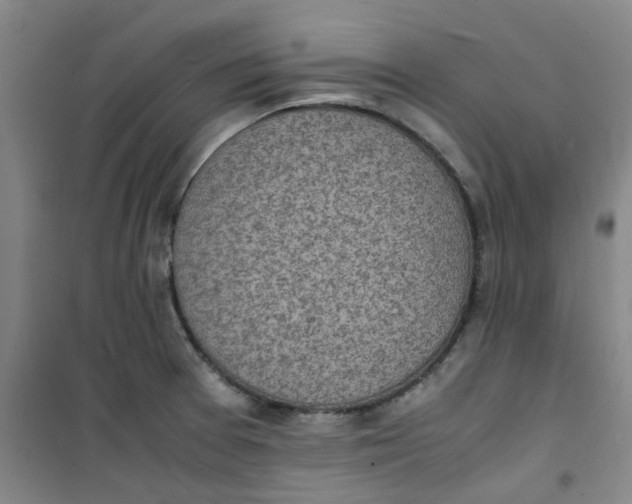 X0000100981377200807151405