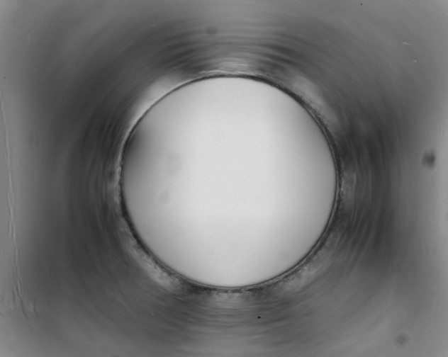 X0000100981378200807151405