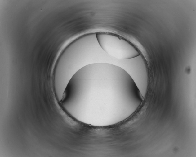 X0000100981380200807151405