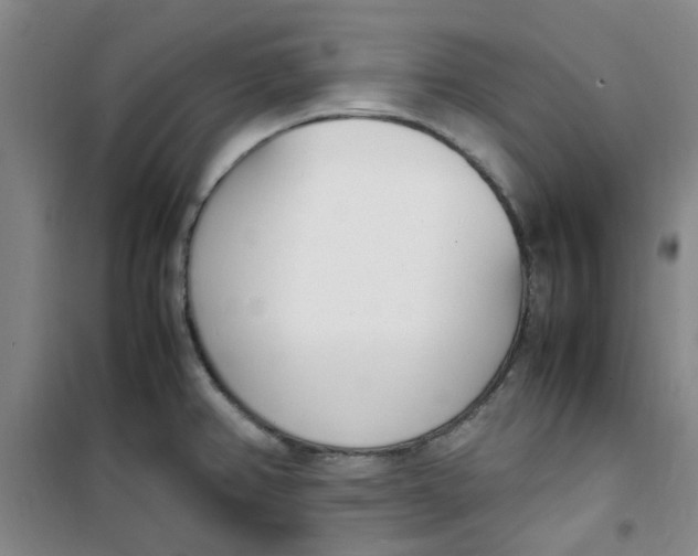 X0000100981382200807151405