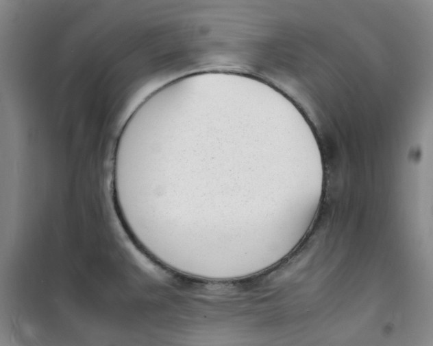 X0000100981383200807151405