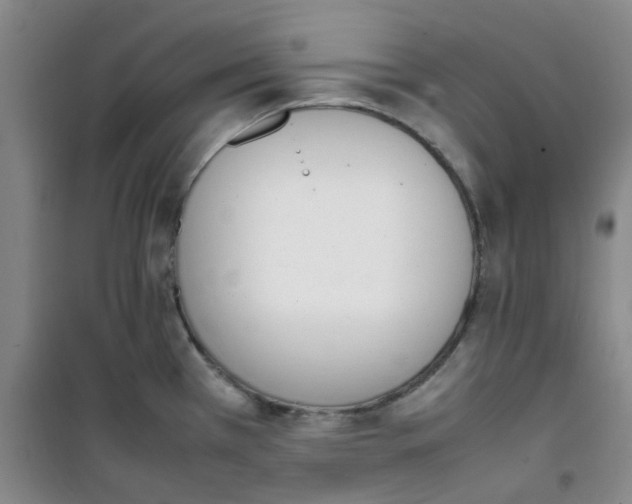 X0000100981385200807151405