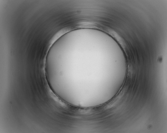 X0000100981386200807151405