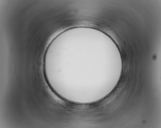 X0000100981387200807151405