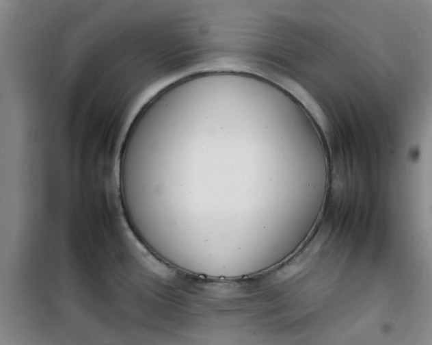 X0000100981388200807151405